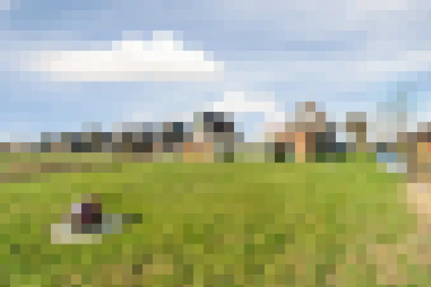 De Haal 90 Oostzaan thumbnail 55