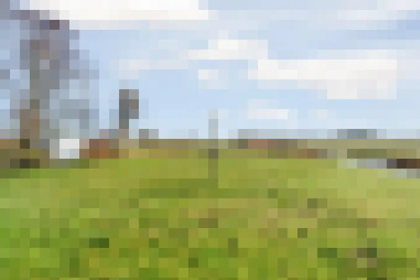 De Haal 90 Oostzaan thumbnail 56