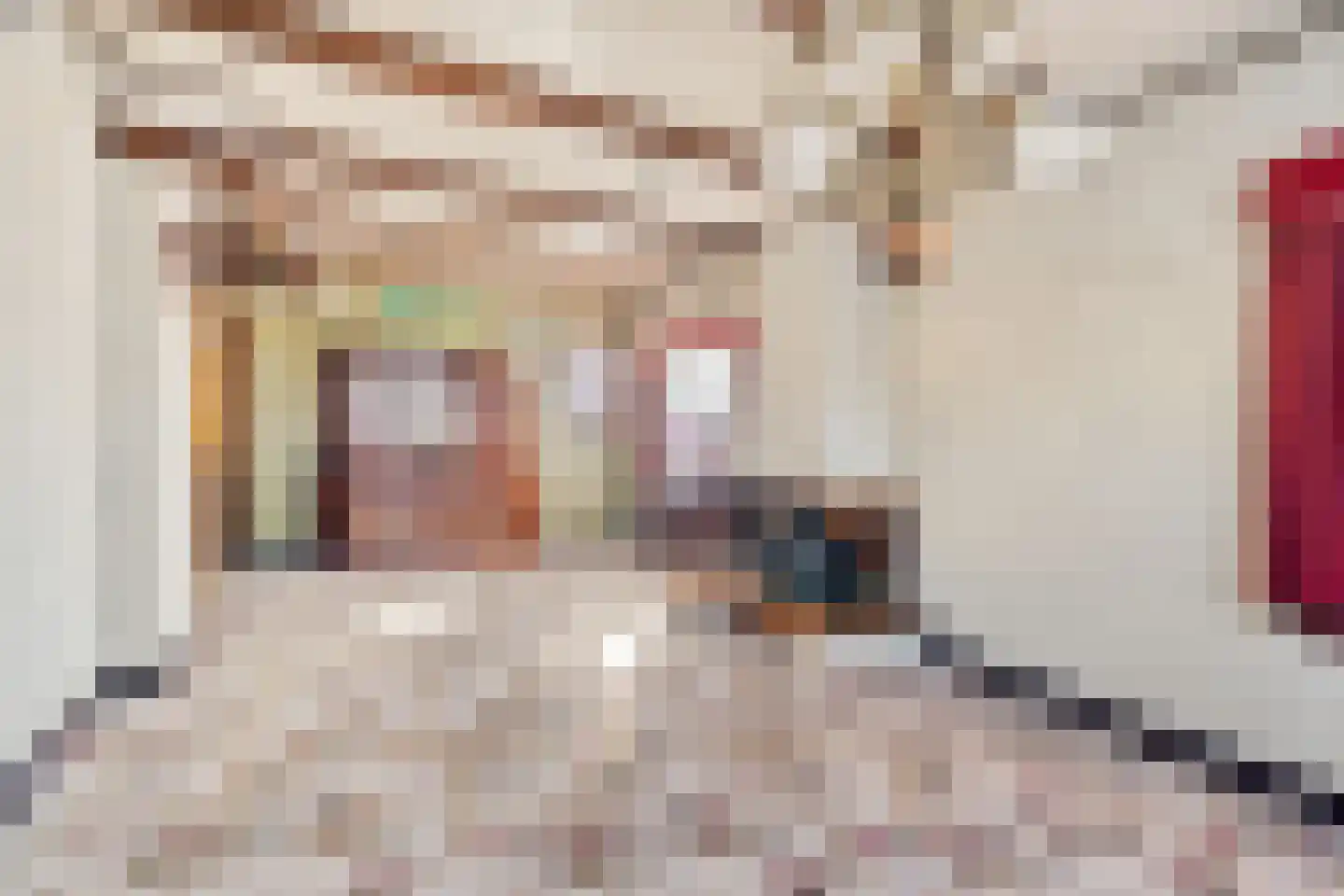 De Haal 90 Oostzaan thumbnail 8