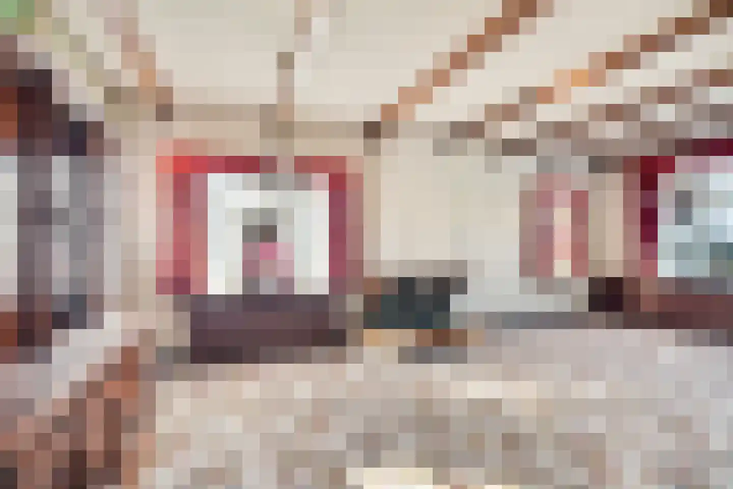 De Haal 90 Oostzaan thumbnail 9