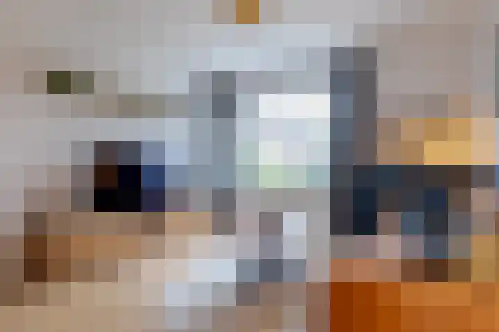 de Haanstraat 10 Roden thumbnail 15