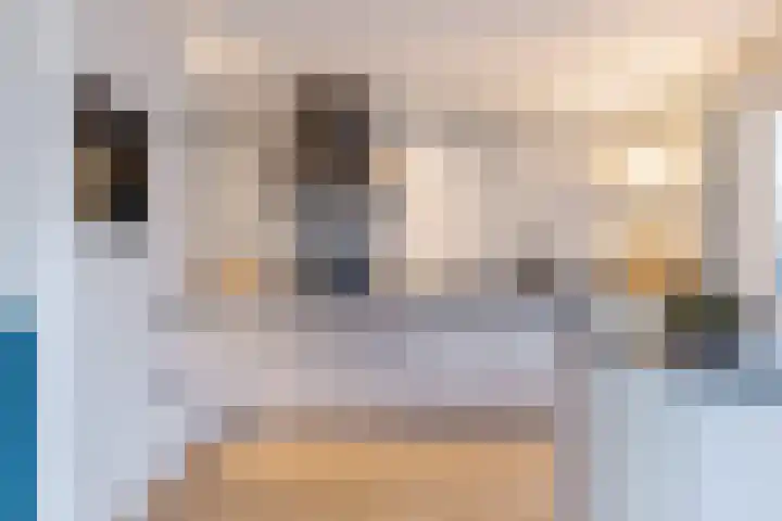 de Haanstraat 10 Roden thumbnail 20