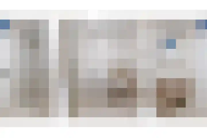 de Haanstraat 10 Roden thumbnail 40