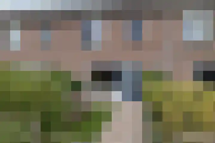 de Haanstraat 10 Roden thumbnail 49