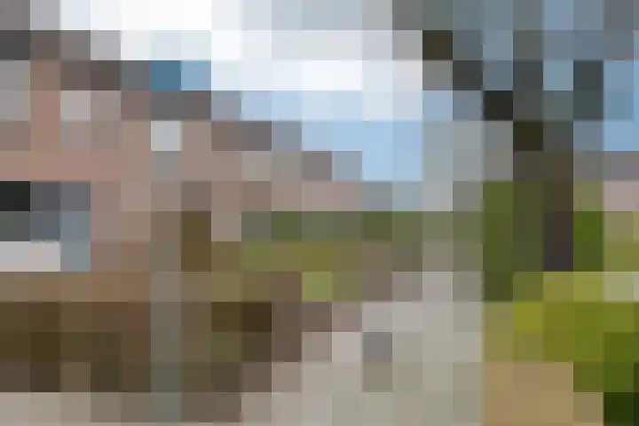 de Haanstraat 10 Roden thumbnail 5