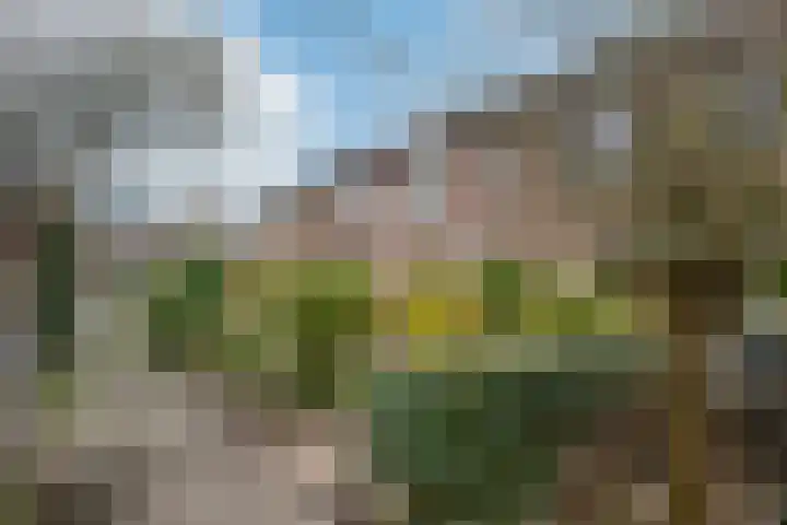 de Haanstraat 10 Roden thumbnail 7