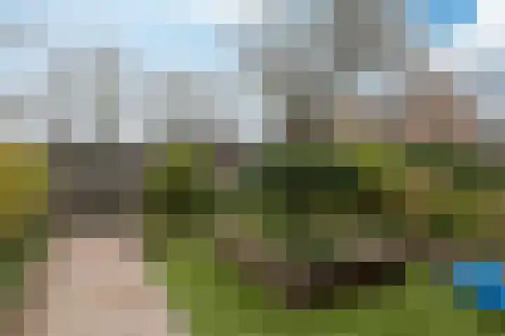 de Haanstraat 10 Roden thumbnail 9