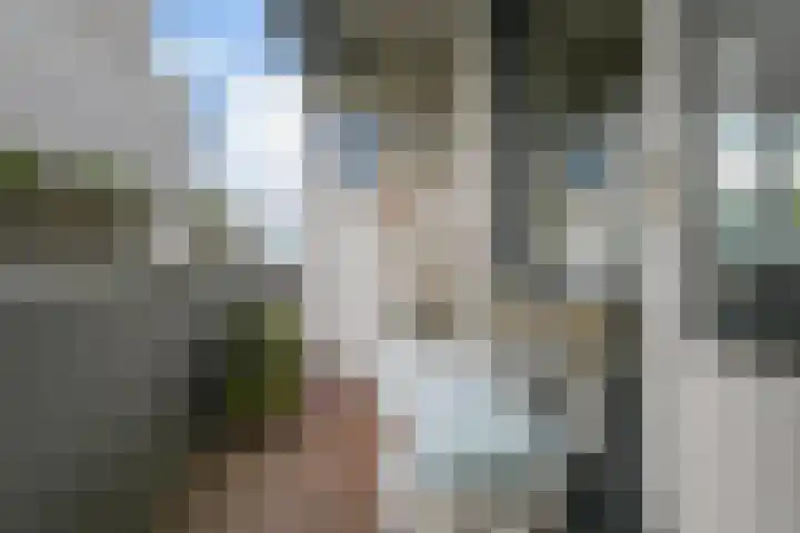De Haar 129 Leidschendam thumbnail 22