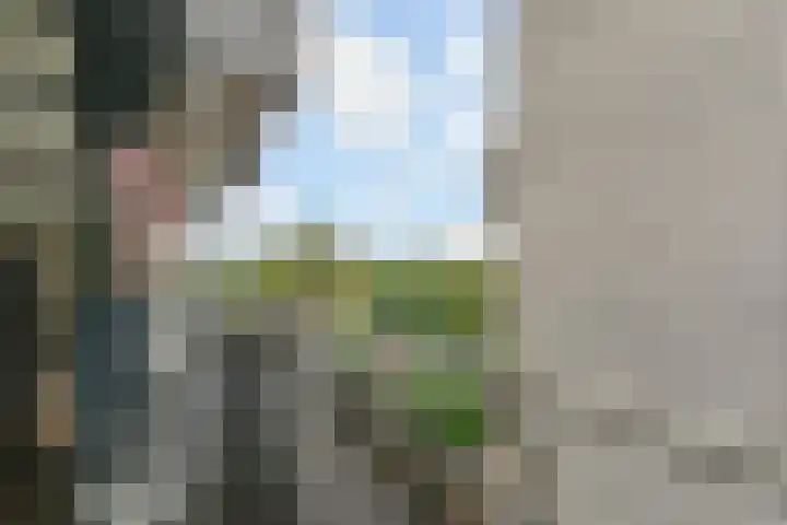 De Haar 129 Leidschendam thumbnail 38