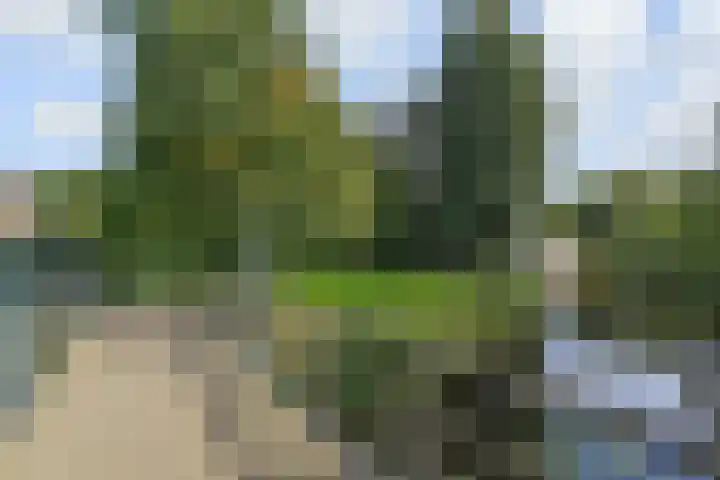 De Haar 129 Leidschendam thumbnail 40