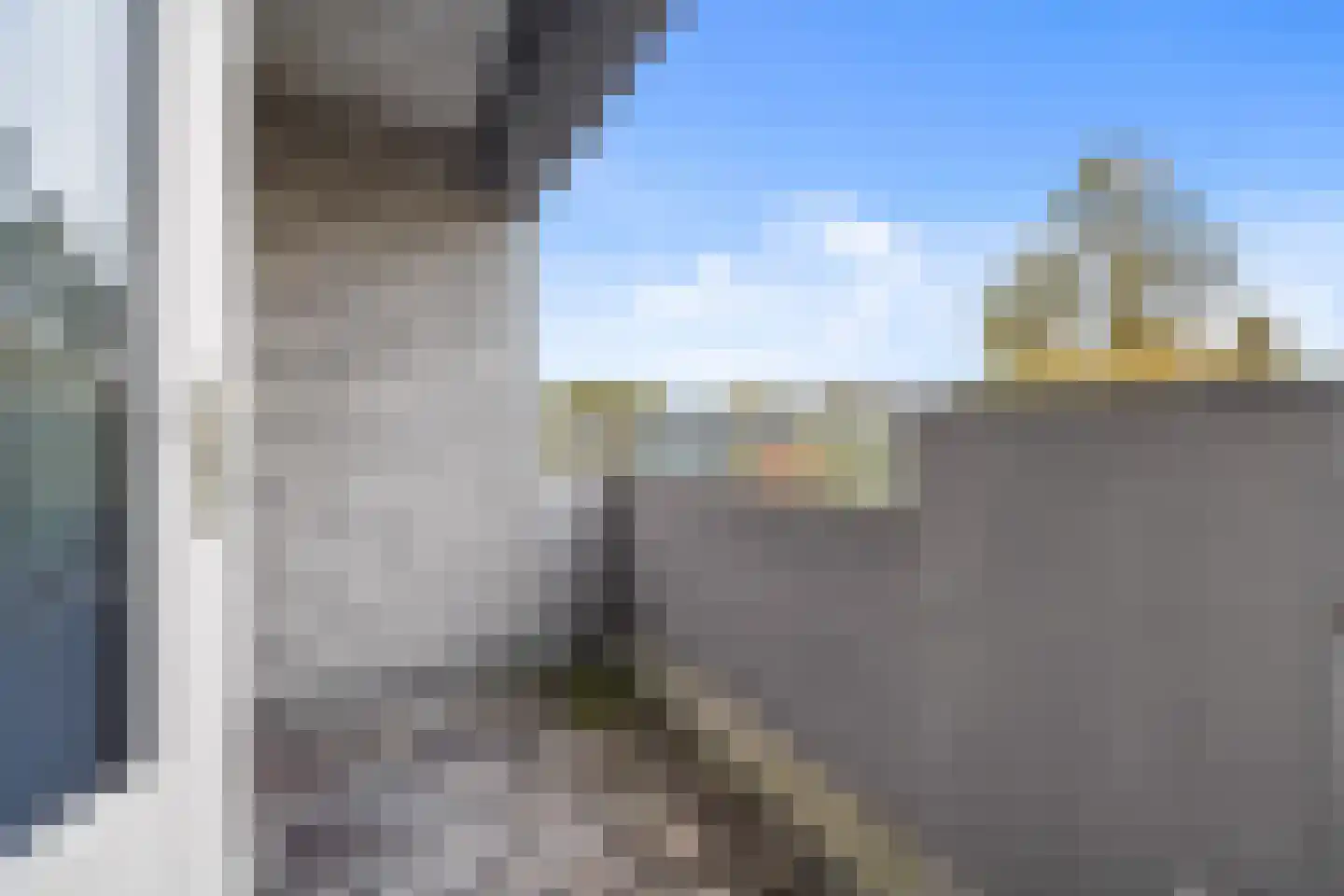 De Haar 157 Leidschendam thumbnail 14