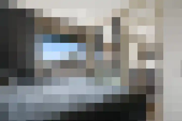 De Haar 194 Leidschendam thumbnail 18