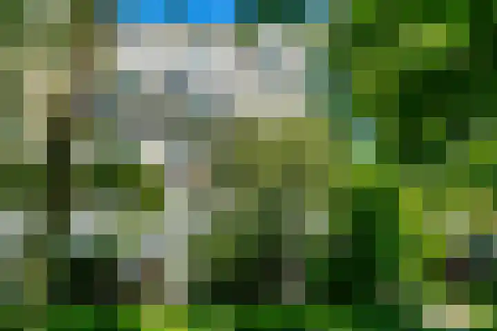 De Haar 194 Leidschendam thumbnail 20