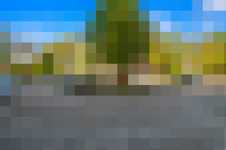 De Haar 194 Leidschendam thumbnail 21