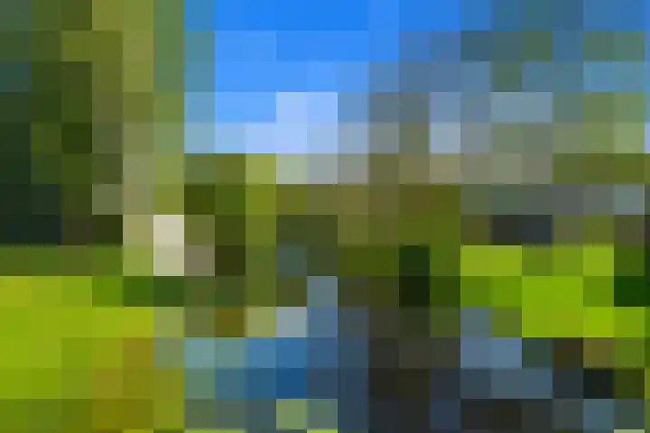 De Haar 194 Leidschendam thumbnail 25