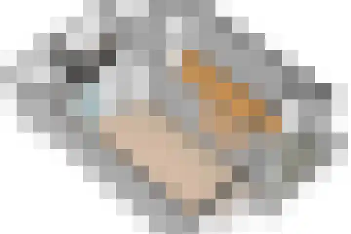 De Haar 194 Leidschendam thumbnail 34