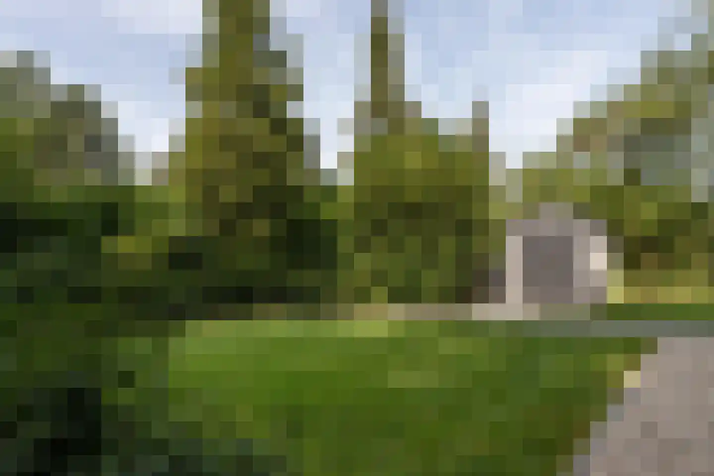 De Haar 4 R079 Balkbrug thumbnail 18