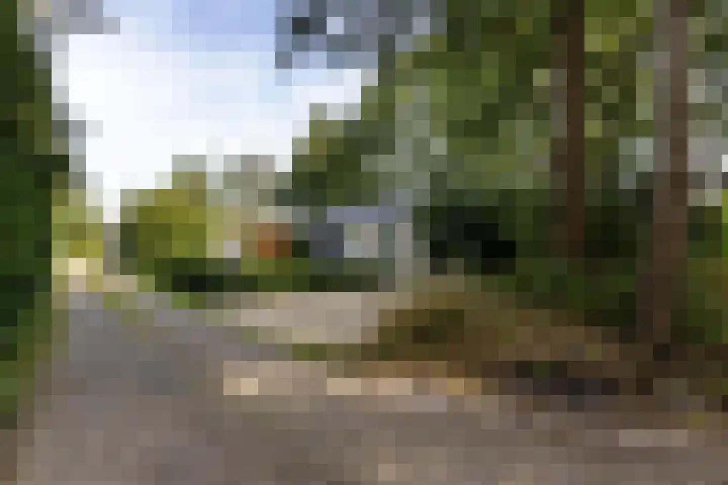 De Haar 4 R079 Balkbrug thumbnail 25