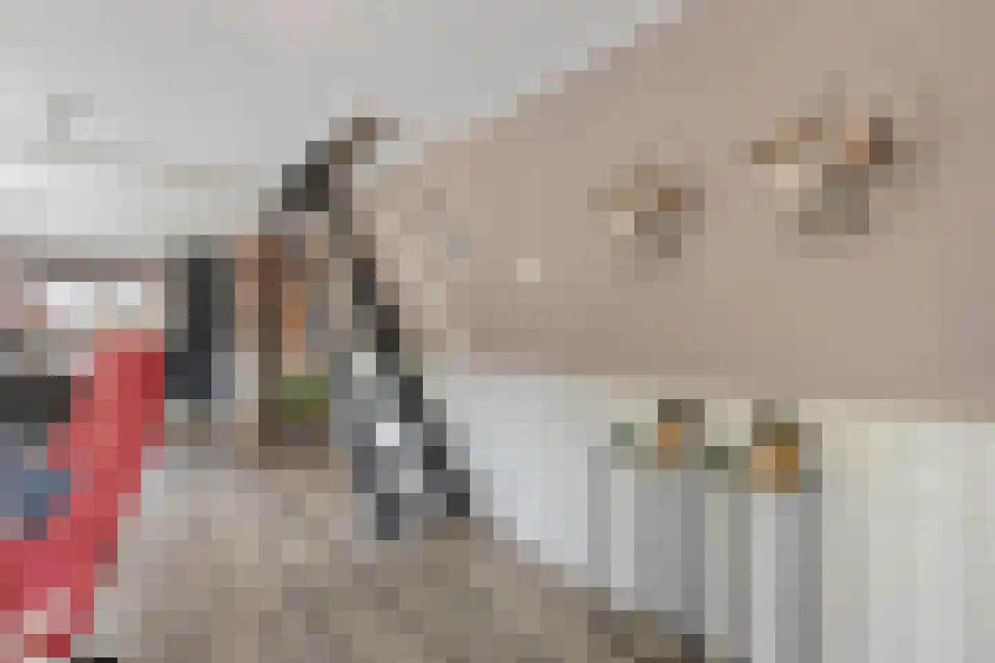 De Haar 4 R37 Balkbrug thumbnail 10