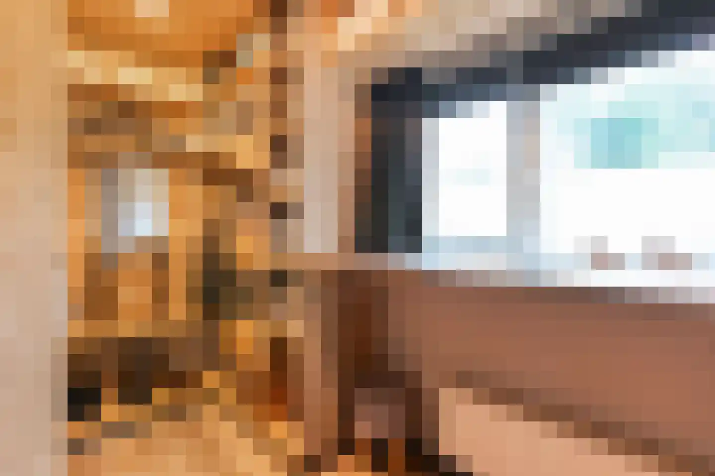 De Haar 4 R37 Balkbrug thumbnail 21