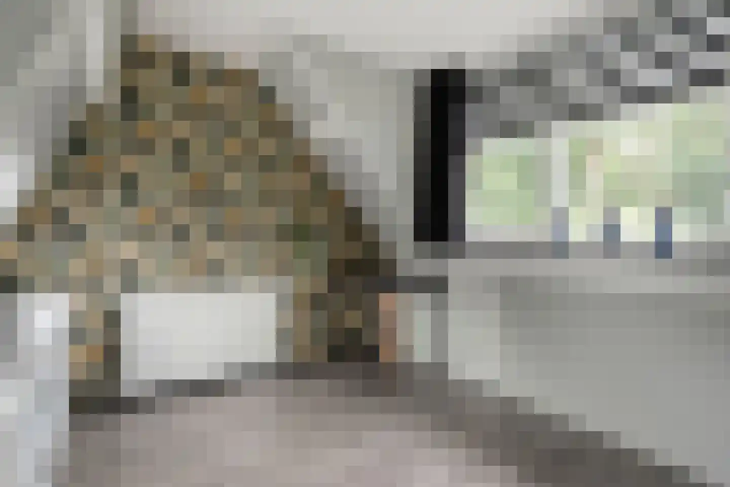 De Haar 4 R37 Balkbrug thumbnail 29