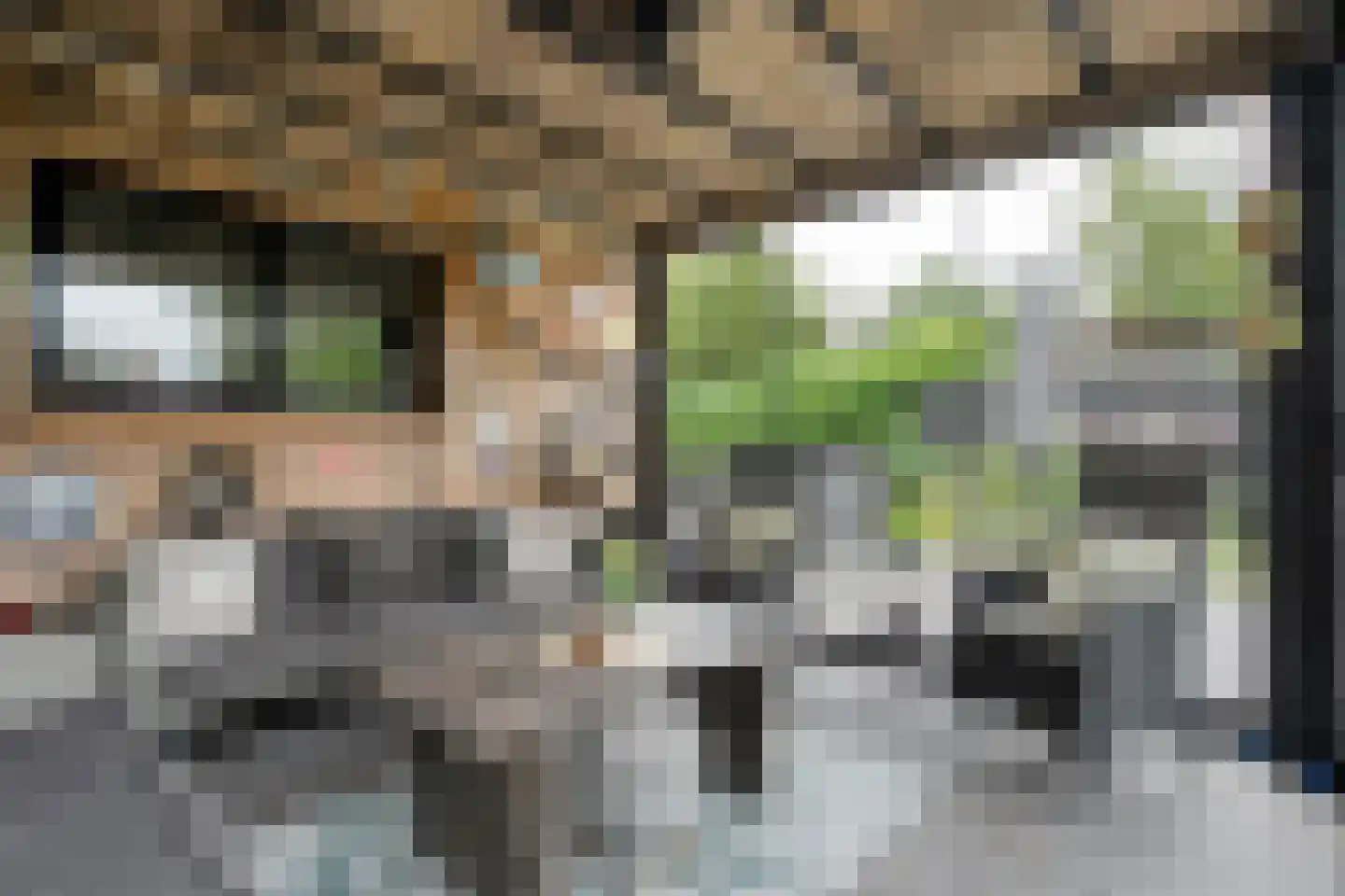 De Haar 4 R37 Balkbrug thumbnail 32