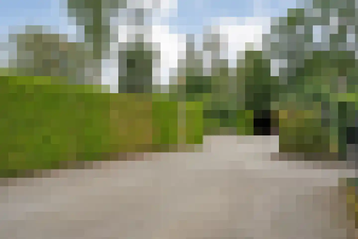 De Haar 4 R37 Balkbrug thumbnail 46
