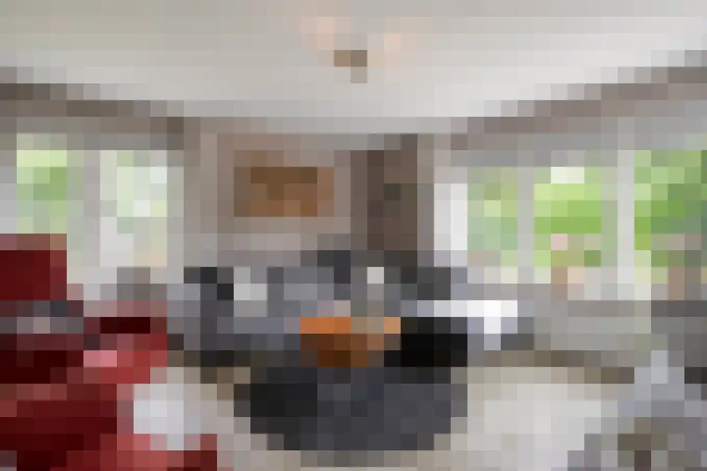 De Haar 4 R37 Balkbrug thumbnail 6
