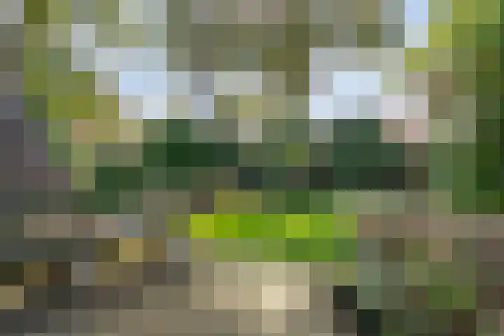 De Haar 4 R40 Balkbrug thumbnail 24