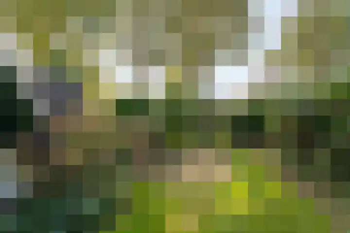 De Haar 4 R40 Balkbrug thumbnail 25