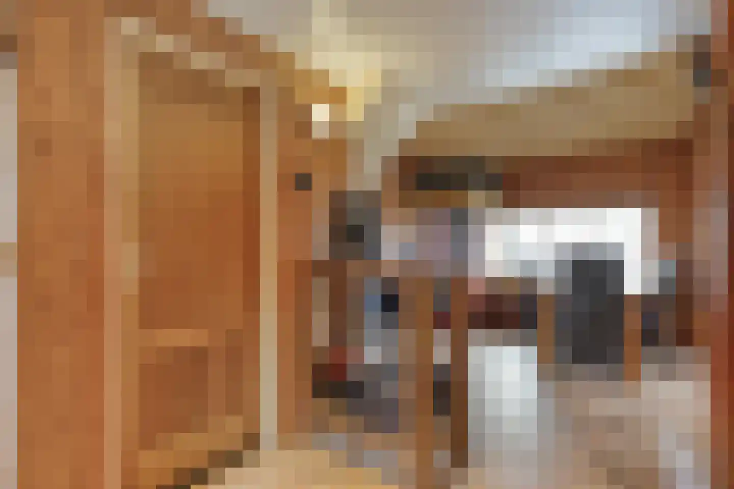 De Haar 4 R8 Balkbrug thumbnail 10