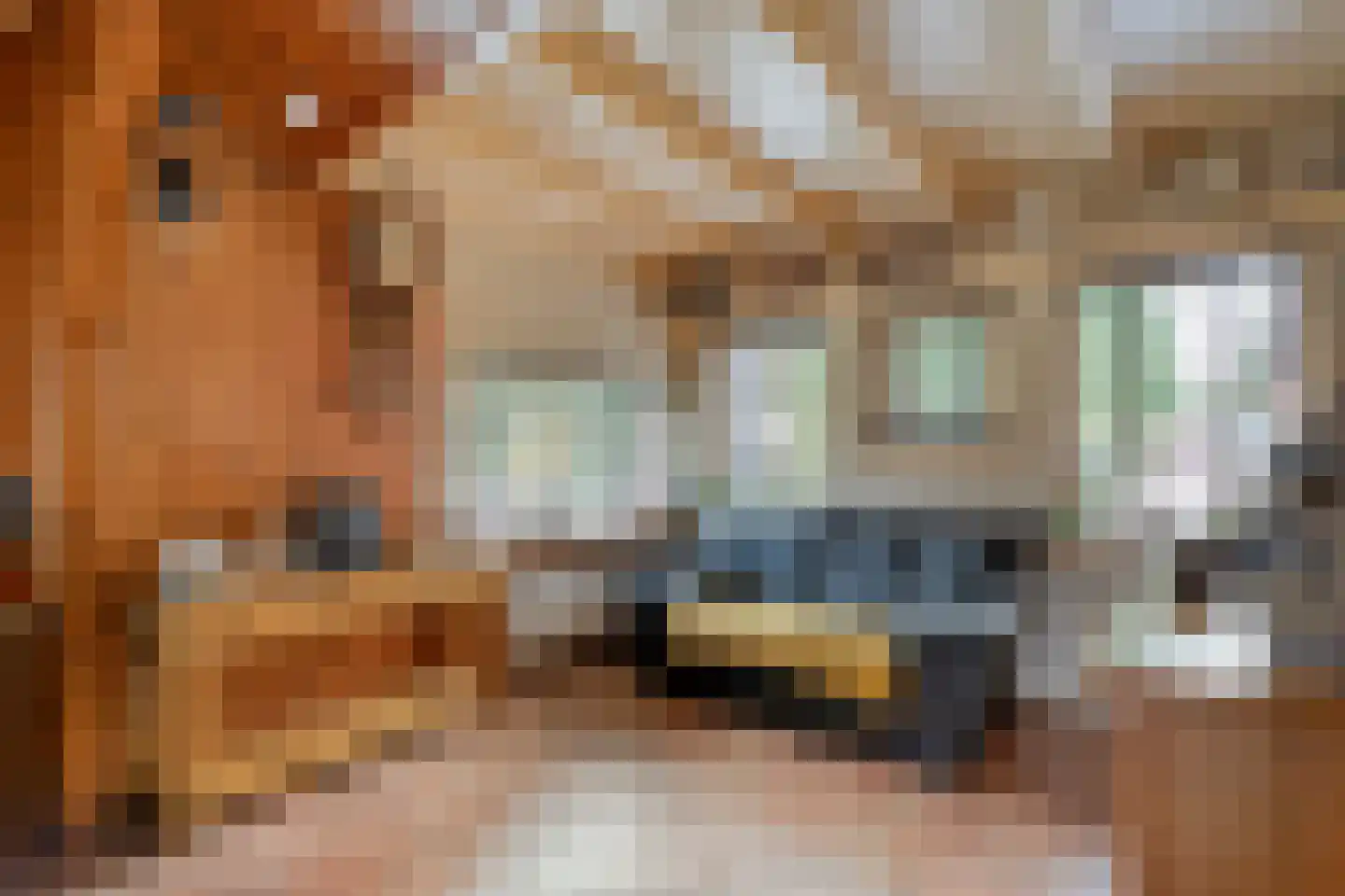 De Haar 4 R8 Balkbrug thumbnail 11