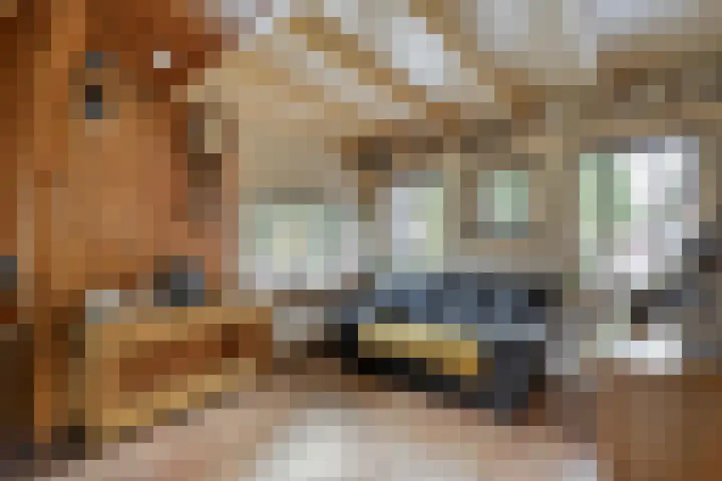 De Haar 4 R8 Balkbrug thumbnail 11