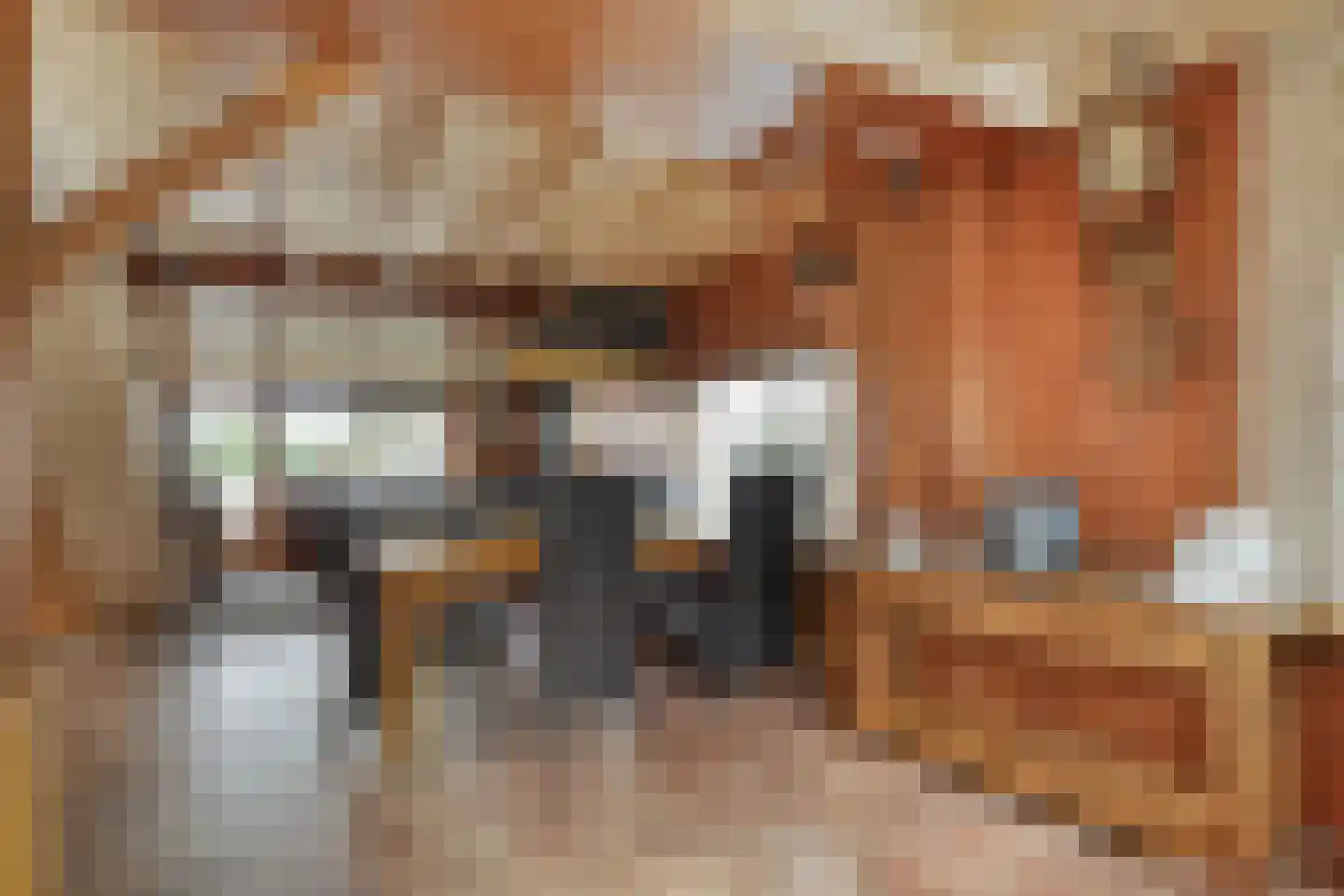 De Haar 4 R8 Balkbrug thumbnail 12