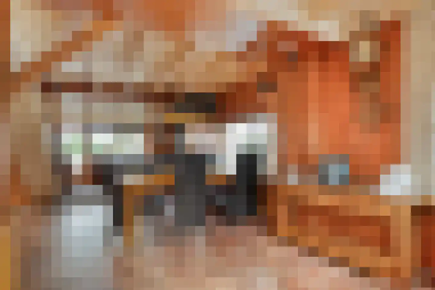 De Haar 4 R8 Balkbrug thumbnail 12