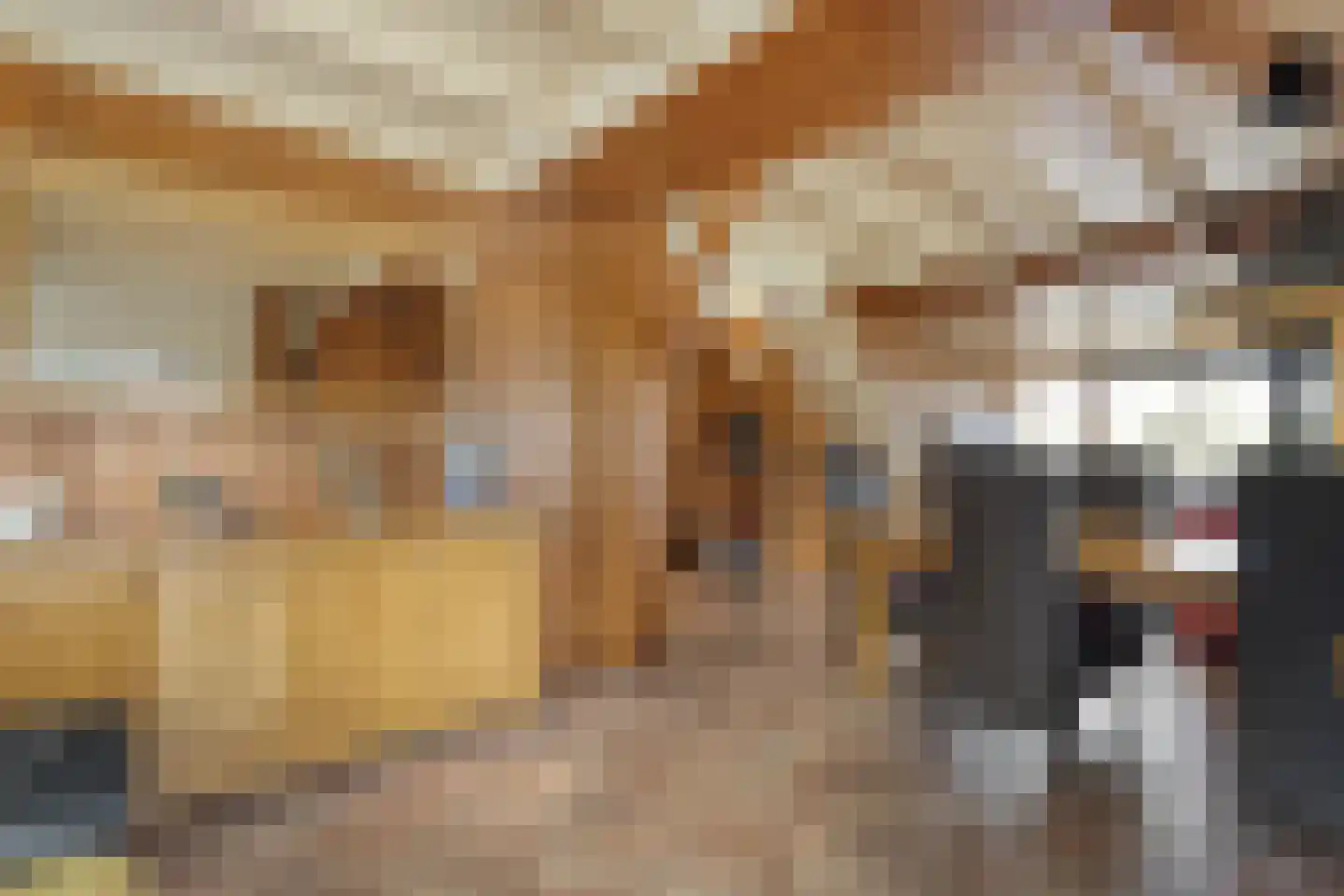 De Haar 4 R8 Balkbrug thumbnail 13
