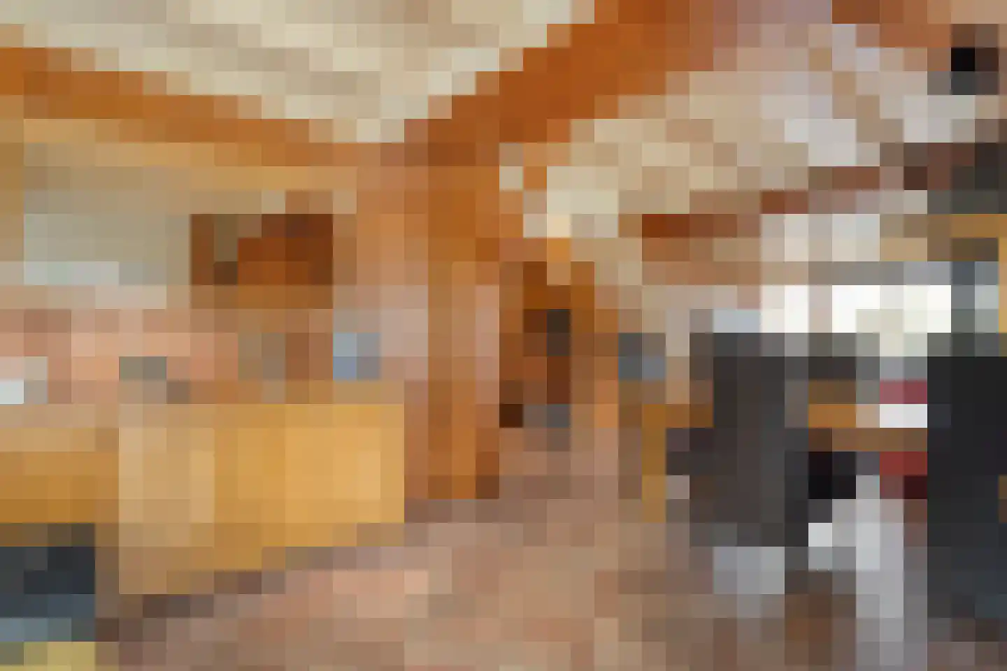 De Haar 4 R8 Balkbrug thumbnail 13