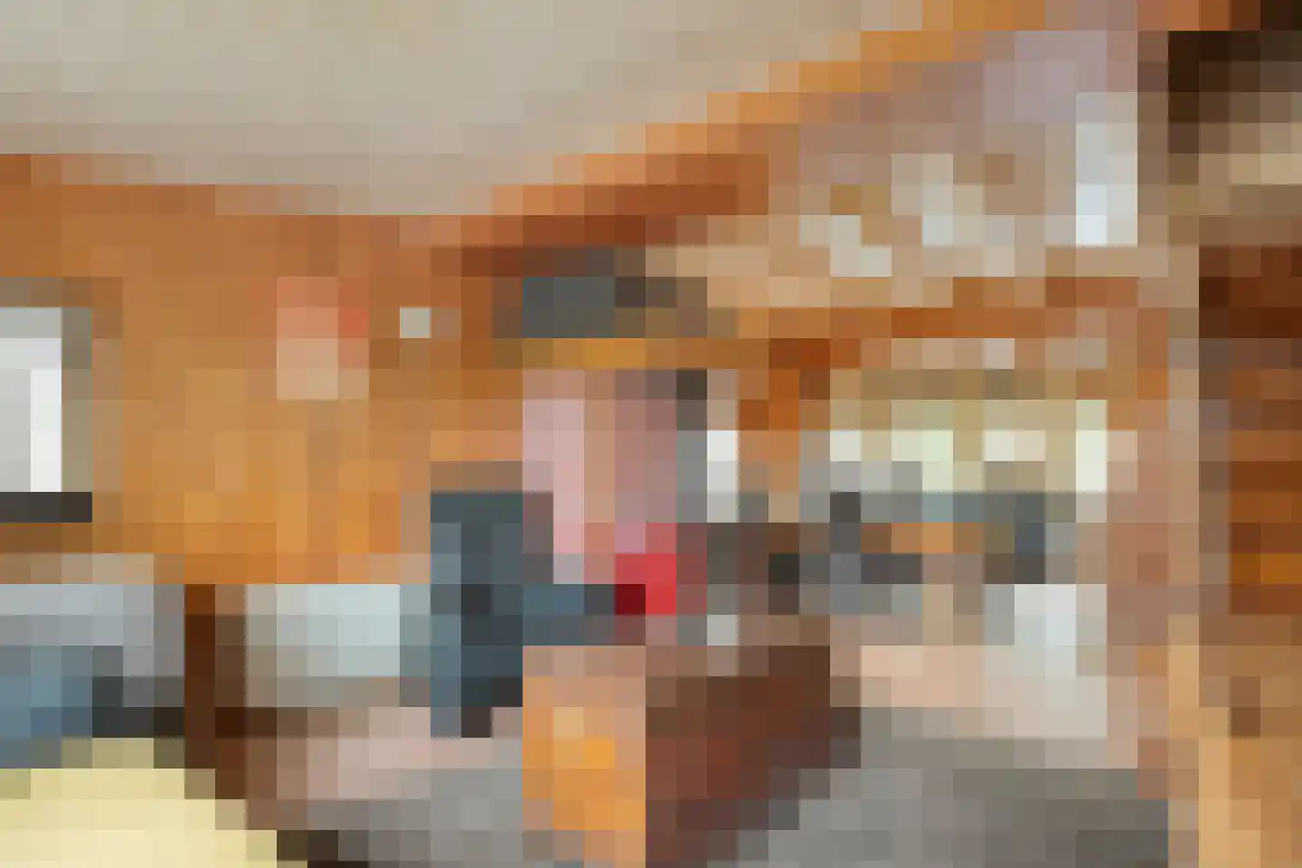 De Haar 4 R8 Balkbrug thumbnail 15