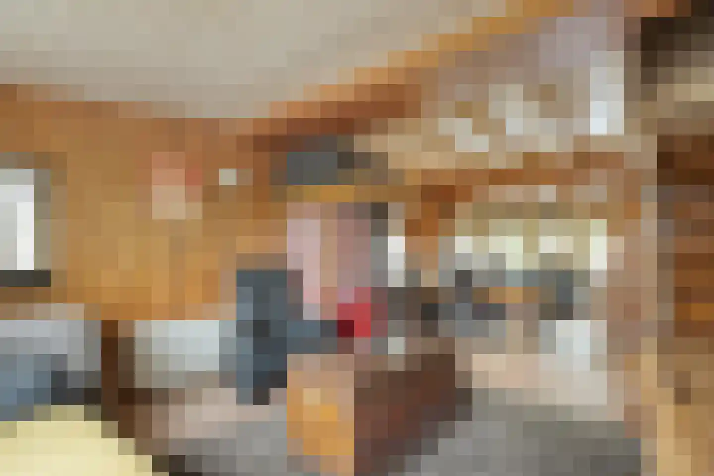 De Haar 4 R8 Balkbrug thumbnail 15