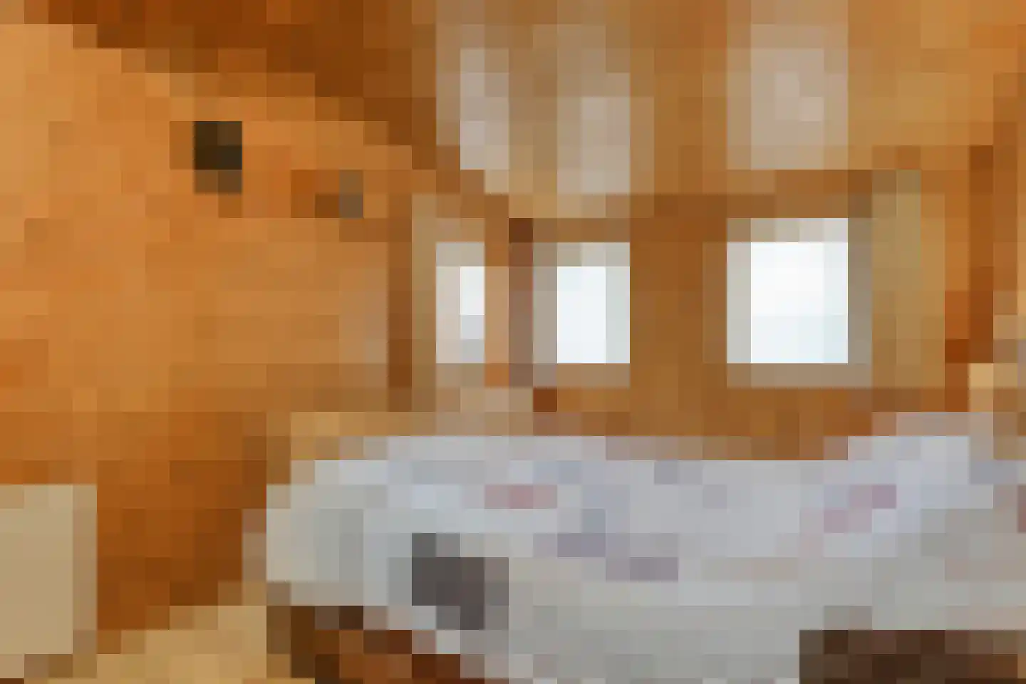 De Haar 4 R8 Balkbrug thumbnail 17
