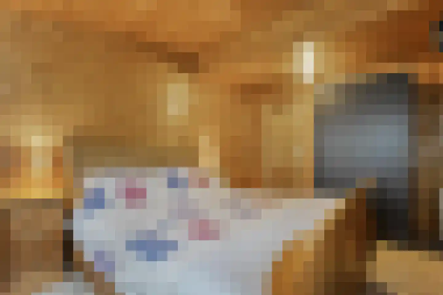 De Haar 4 R8 Balkbrug thumbnail 18