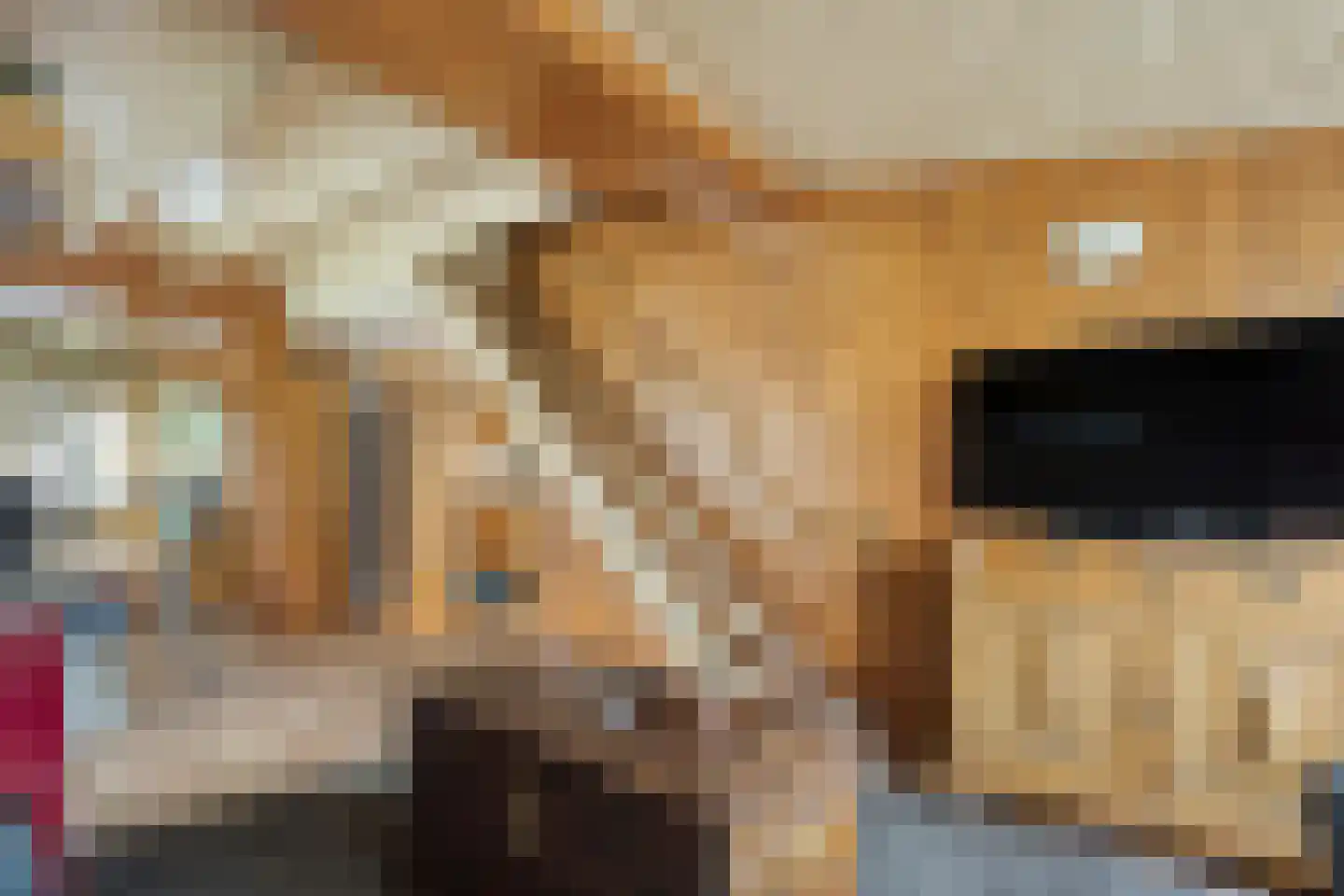 De Haar 4 R8 Balkbrug thumbnail 20