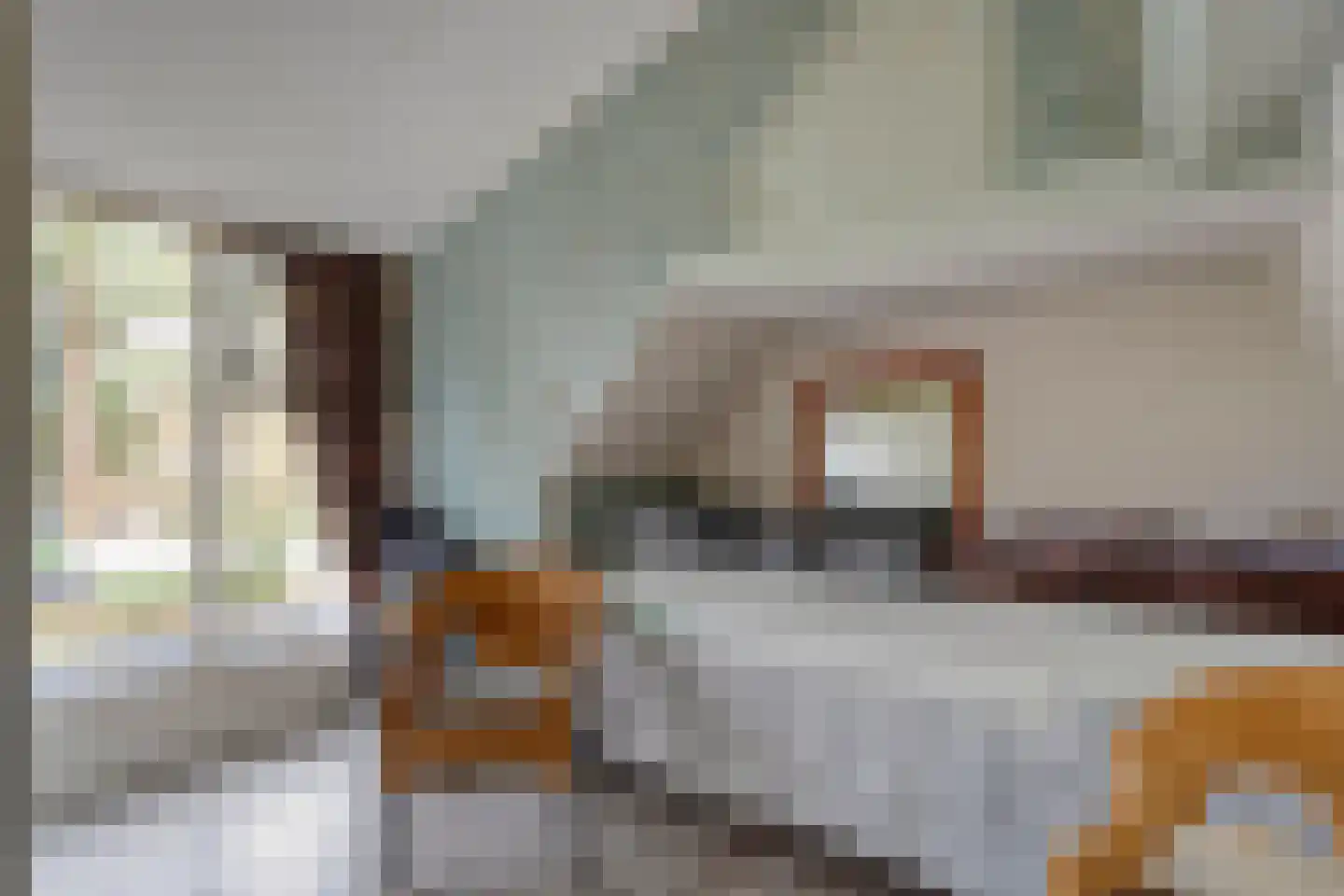 De Haar 4 R8 Balkbrug thumbnail 21