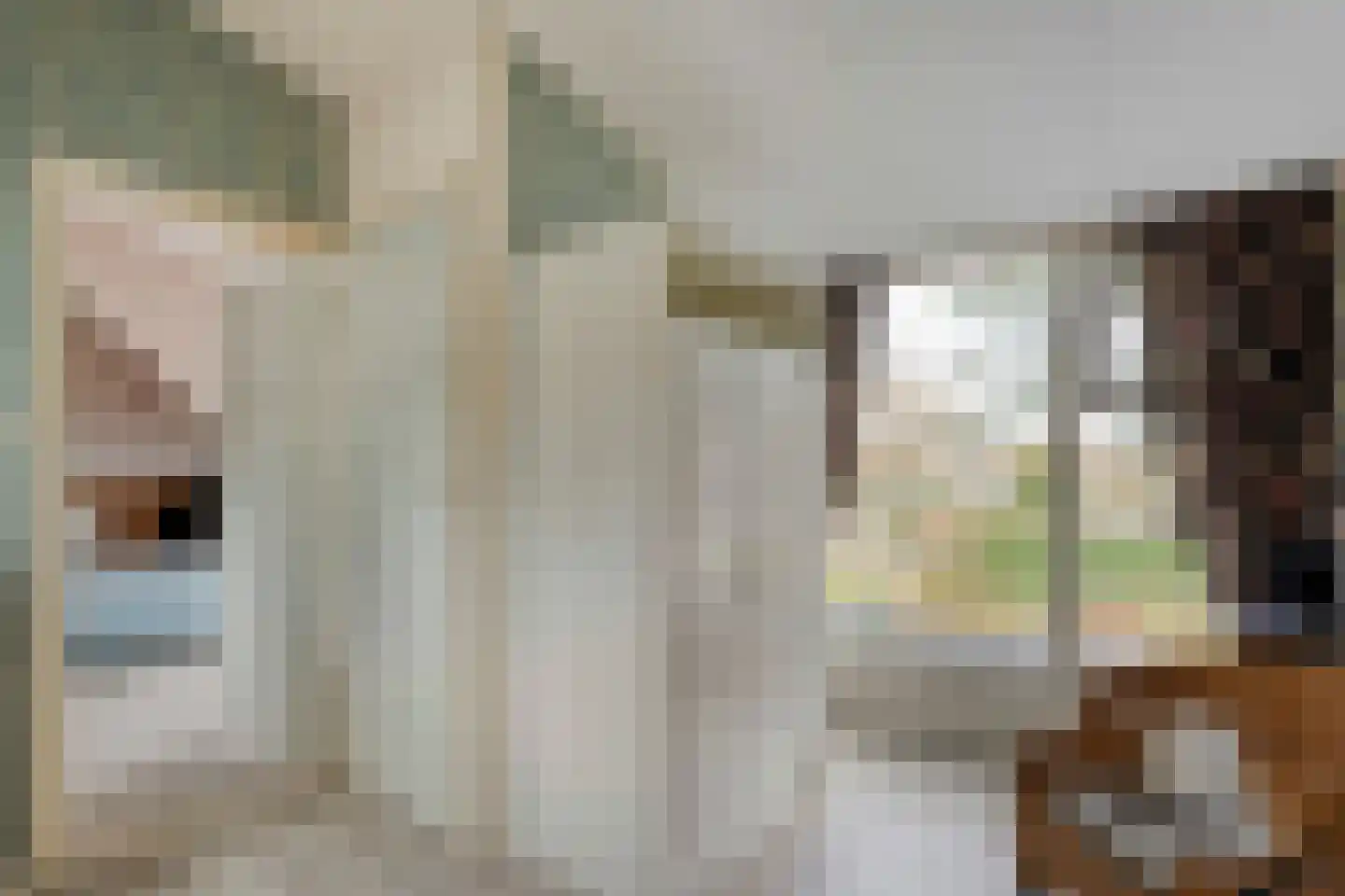 De Haar 4 R8 Balkbrug thumbnail 22