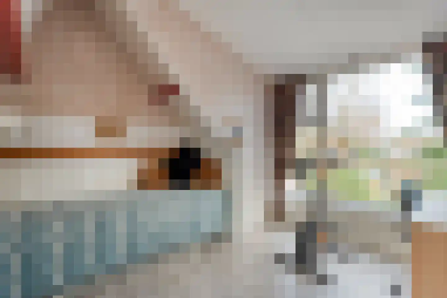 De Haar 4 R8 Balkbrug thumbnail 24