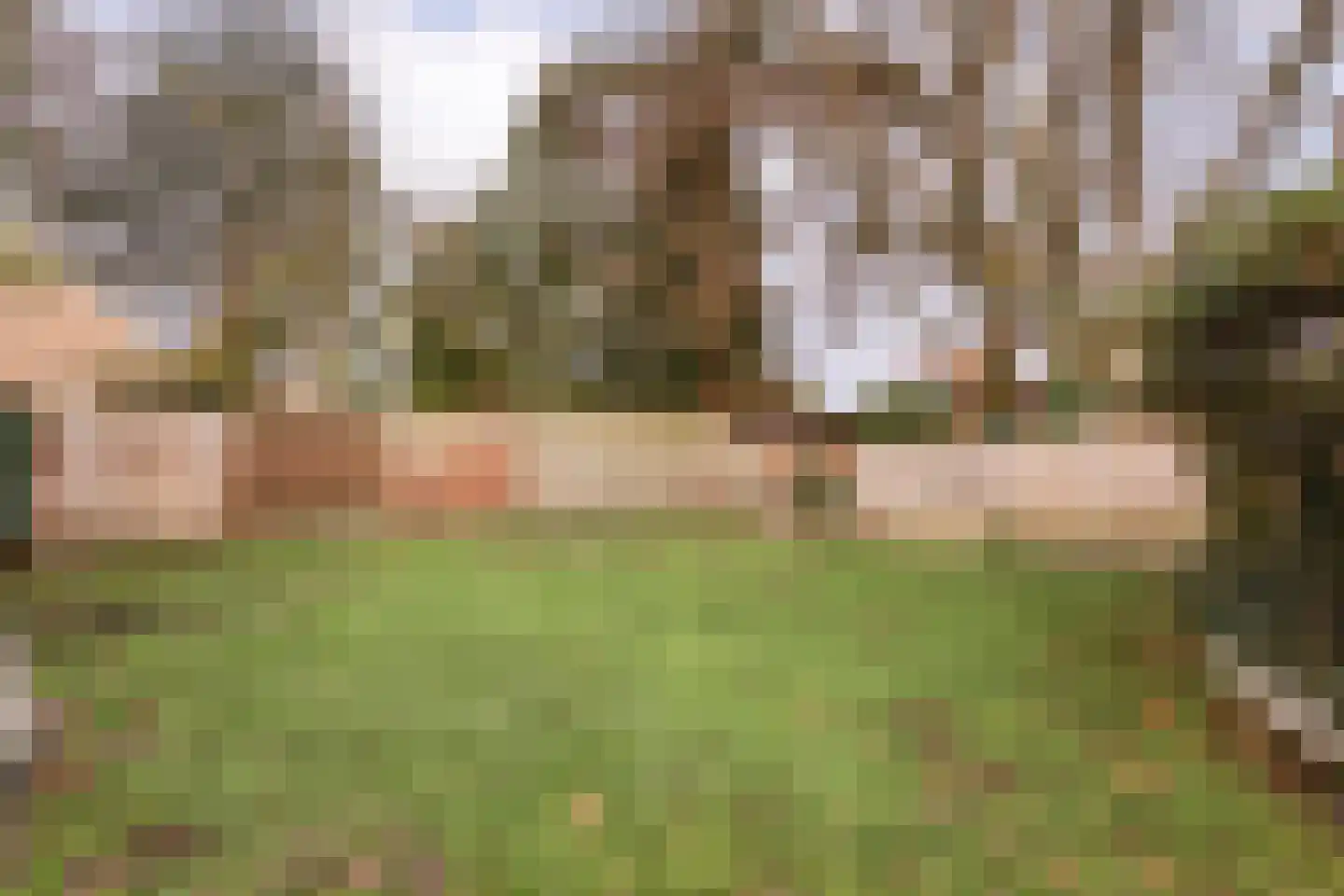 De Haar 4 R8 Balkbrug thumbnail 29