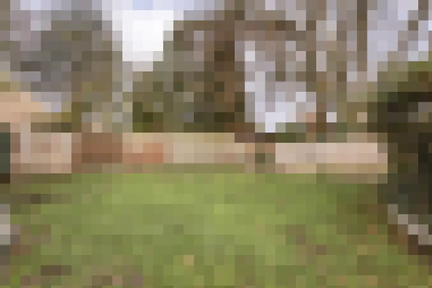 De Haar 4 R8 Balkbrug thumbnail 29