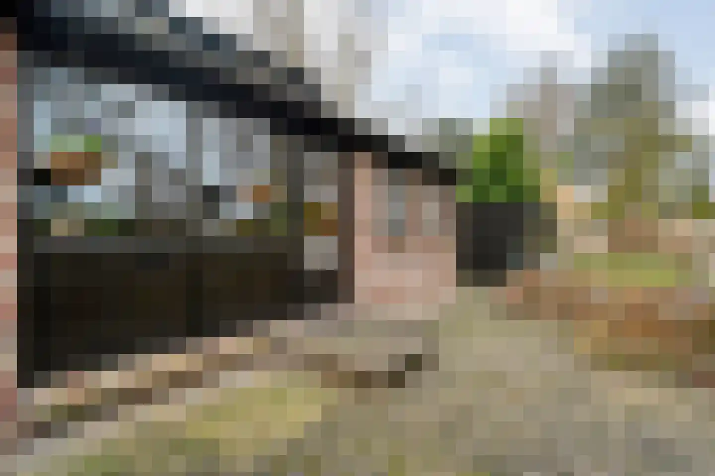 De Haar 4 R8 Balkbrug thumbnail 33