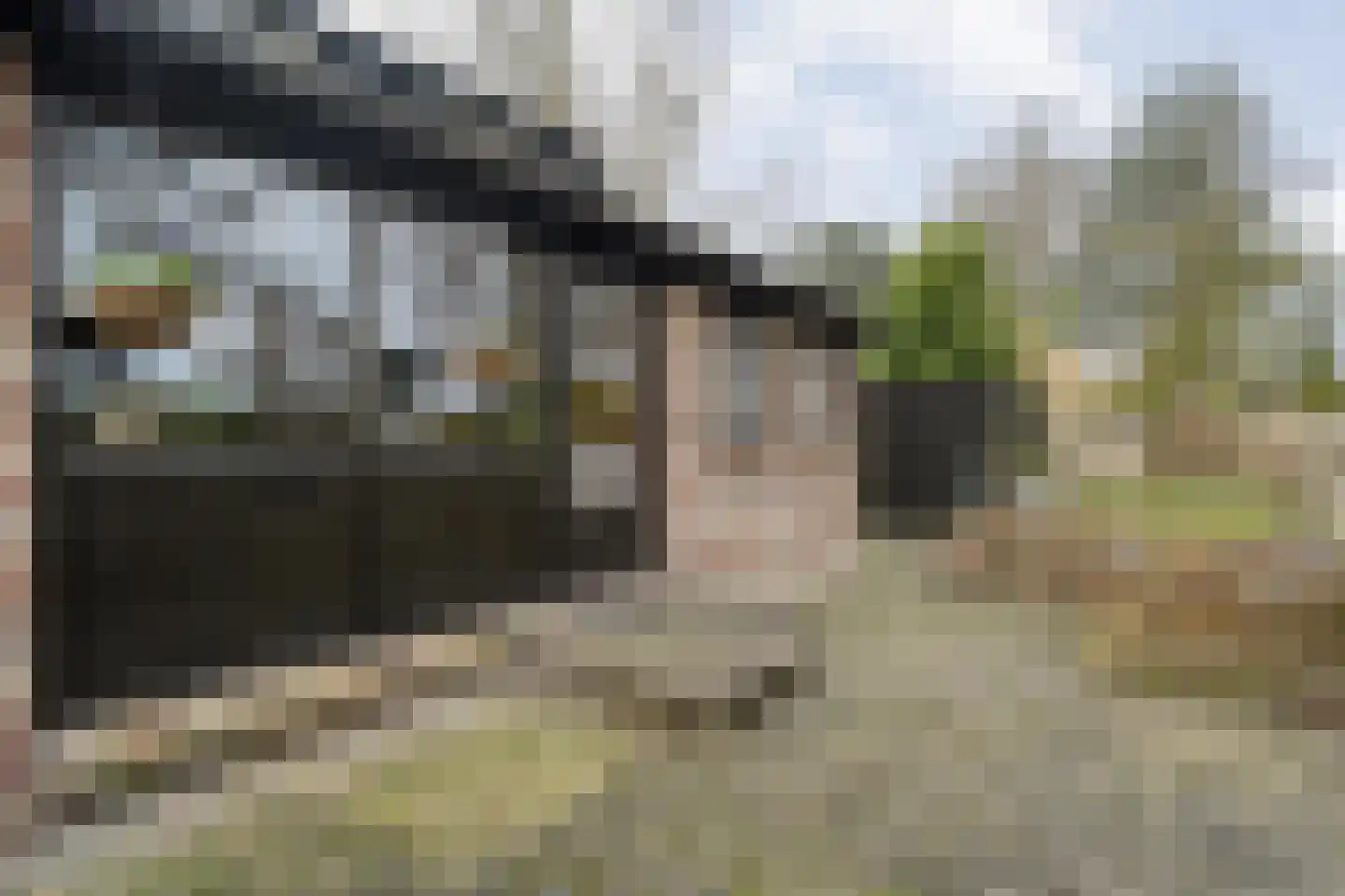 De Haar 4 R8 Balkbrug thumbnail 33