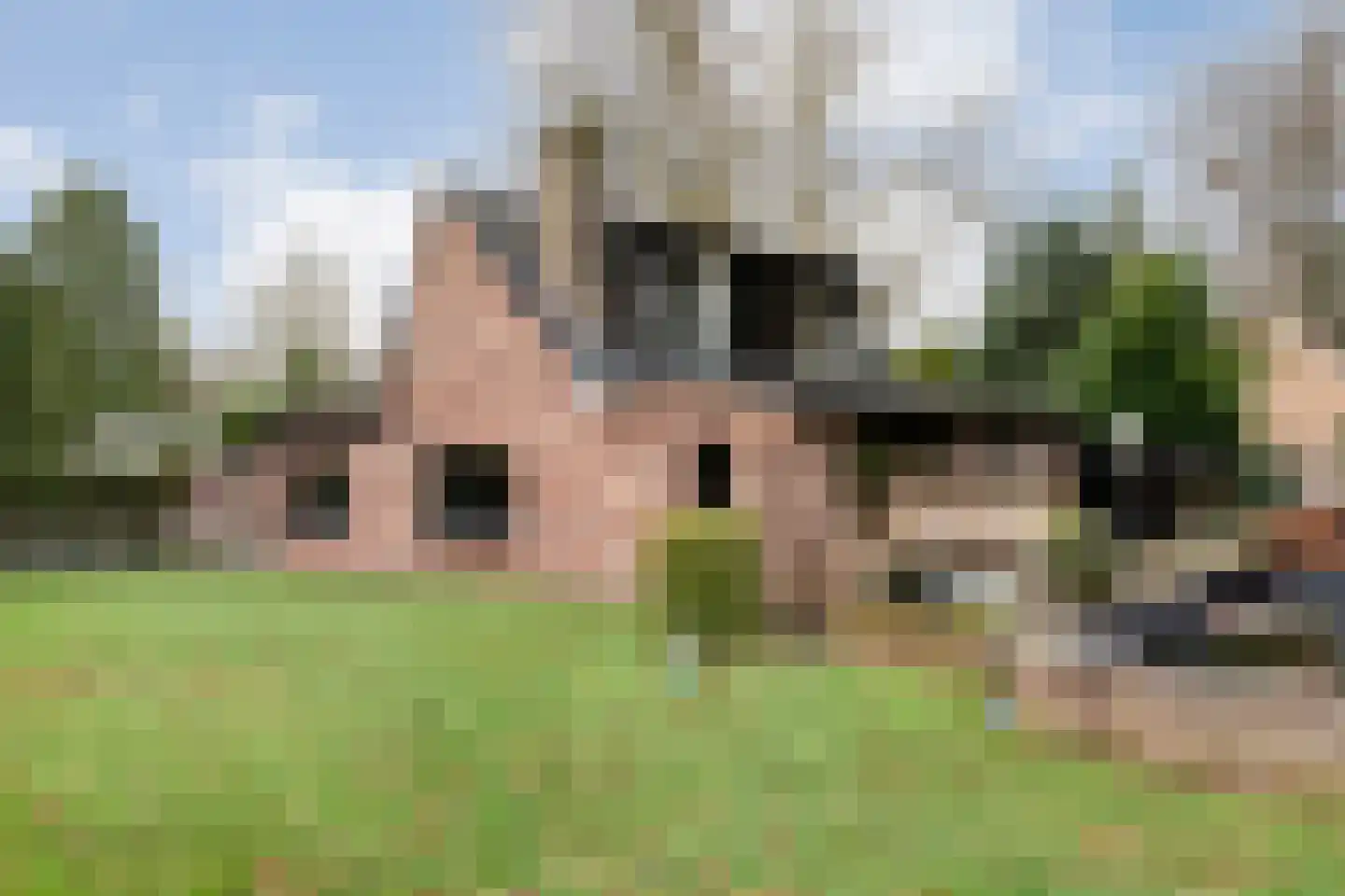 De Haar 4 R8 Balkbrug thumbnail 34